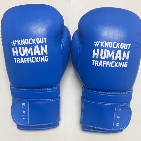 BFL Blue Gloves - Size 12oz Thumbnail